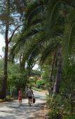 Туры в отель Cybeles Vacances Camping Les Alberes Туры в отель Cybeles Vacances Camping Les Alberes