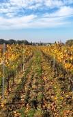 Туры в отель Chateau Senailhac Туры в отель Chateau Senailhac