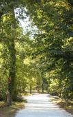 Туры в отель Chateau Leognan, Domaine viticole - proche Bordeaux Туры в отель Chateau Leognan, Domaine viticole - proche Bordeaux