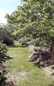 Туры в отель Cabanes Tresors de Campagne Туры в отель Cabanes Tresors de Campagne