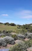 Туры в отель Cabanes Tresors de Campagne Туры в отель Cabanes Tresors de Campagne