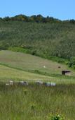 Туры в отель Cabanes Tresors de Campagne Туры в отель Cabanes Tresors de Campagne