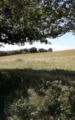 Туры в отель Cabanes Tresors de Campagne Туры в отель Cabanes Tresors de Campagne