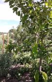 Туры в отель Cabanes Tresors de Campagne Туры в отель Cabanes Tresors de Campagne