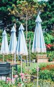 Туры в отель Les Hautes Mers - Fontenille Collection Туры в отель Les Hautes Mers - Fontenille Collection