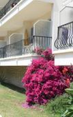 Туры в отель MOTEL ASCOT - Hotel & Appartements Туры в отель MOTEL ASCOT - Hotel & Appartements