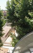 Туры в отель Grand Juste Туры в отель Grand Juste