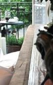 Туры в отель Kings Boutique Hotel Туры в отель Kings Boutique Hotel