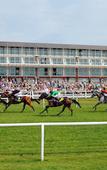 Туры в отель Lingfield Park Marriott Hotel & Country Club Туры в отель Lingfield Park Marriott Hotel & Country Club