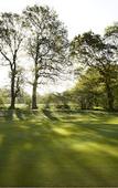 Туры в отель Lingfield Park Marriott Hotel & Country Club Туры в отель Lingfield Park Marriott Hotel & Country Club