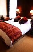Туры в отель The Belmont Hotel Туры в отель The Belmont Hotel