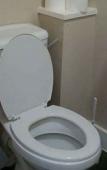 Туры в отель The Swan Inn Туры в отель The Swan Inn
