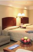 Туры в отель Melia Buenos Aires Boutique Туры в отель Melia Buenos Aires Boutique