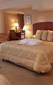 Туры в отель Melia Buenos Aires Boutique Туры в отель Melia Buenos Aires Boutique