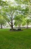 Туры в отель Princes Gardens Туры в отель Princes Gardens