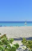 Туры в отель Melia Las Americas Туры в отель Melia Las Americas