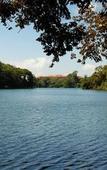 Туры в отель Melia Panama Canal Туры в отель Melia Panama Canal
