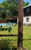 Туры в отель The Tudor Hotel Туры в отель The Tudor Hotel
