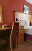 Туры в отель The Tudor Hotel Туры в отель The Tudor Hotel