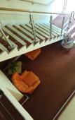 Туры в отель The Tudor Hotel Туры в отель The Tudor Hotel