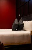 Туры в отель Duke Street Boutique Hotel Туры в отель Duke Street Boutique Hotel