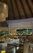 Туры в отель Melia Caribe Beach Resort - All Inclusive Туры в отель Melia Caribe Beach Resort - All Inclusive