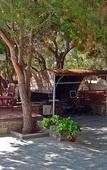 Туры в отель Naxos Summerland resort Туры в отель Naxos Summerland resort