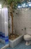 Туры в отель Naxos Summerland resort Туры в отель Naxos Summerland resort