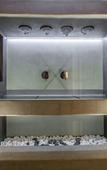 Туры в отель Halcyon Suites and Villas Naxos Туры в отель Halcyon Suites and Villas Naxos