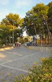 Туры в отель Forest Park Hotel Туры в отель Forest Park Hotel