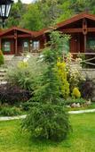 Туры в отель Xenios Chalets Туры в отель Xenios Chalets
