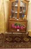 Туры в отель OLYMPUS VIEW Rooms Sauna & Spa Туры в отель OLYMPUS VIEW Rooms Sauna & Spa