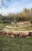 Туры в отель Dina's House Туры в отель Dina's House