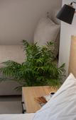 Туры в отель Calives Premium Stay Туры в отель Calives Premium Stay