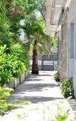 Туры в отель Alekos Suites, Free 24H Transportation To Airport Туры в отель Alekos Suites, Free 24H Transportation To Airport