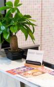 Туры в отель Metroplace Boutique Туры в отель Metroplace Boutique