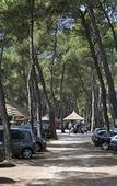 Туры в отель Pine Beach Bungalows – all inclusive Туры в отель Pine Beach Bungalows – all inclusive