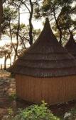 Туры в отель Pine Beach Bungalows – all inclusive Туры в отель Pine Beach Bungalows – all inclusive