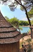 Туры в отель Pine Beach Bungalows – all inclusive Туры в отель Pine Beach Bungalows – all inclusive