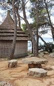Туры в отель Pine Beach Bungalows – all inclusive Туры в отель Pine Beach Bungalows – all inclusive