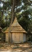 Туры в отель Pine Beach Bungalows – all inclusive Туры в отель Pine Beach Bungalows – all inclusive