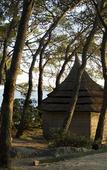 Туры в отель Pine Beach Bungalows – all inclusive Туры в отель Pine Beach Bungalows – all inclusive