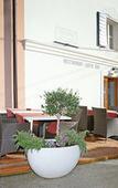 Туры в отель Hotel La Grisa Туры в отель Hotel La Grisa