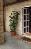 Туры в отель Villa Konalic Туры в отель Villa Konalic