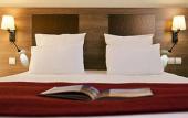 Туры в отель Mercure Annecy Centre Туры в отель Mercure Annecy Centre