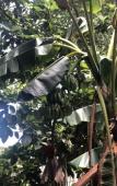 Туры в отель Detente Du Cacique Villa Hotel Туры в отель Detente Du Cacique Villa Hotel