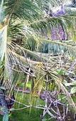 Туры в отель Wahyu Dewata Туры в отель Wahyu Dewata