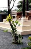Туры в отель Wahyu Dewata Туры в отель Wahyu Dewata