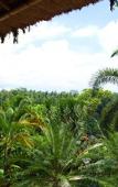 Туры в отель Hotel Bunga Permai Туры в отель Hotel Bunga Permai