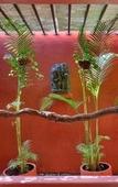 Туры в отель PinkCoco Bali Туры в отель PinkCoco Bali